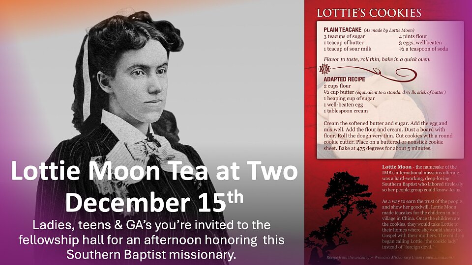 lottie moon tea