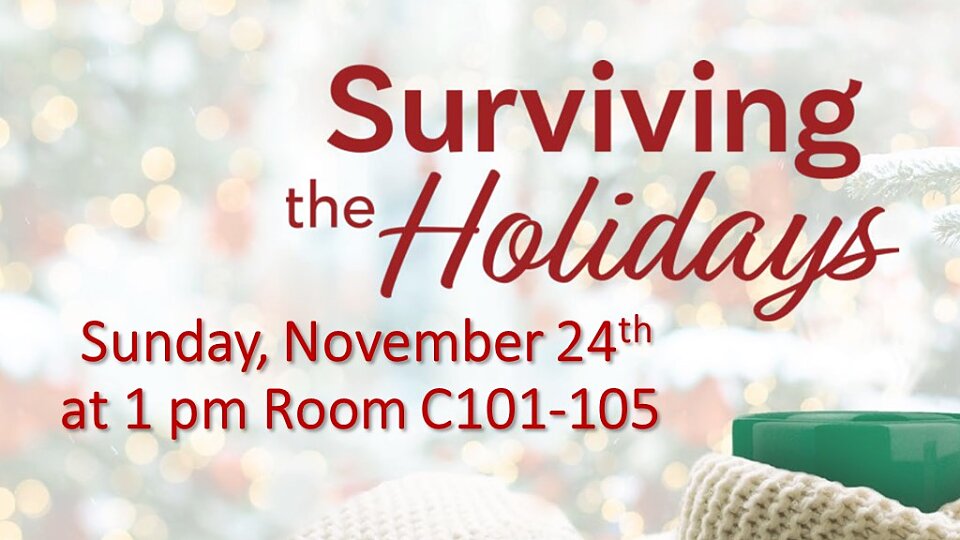 surviving the holidays 2024